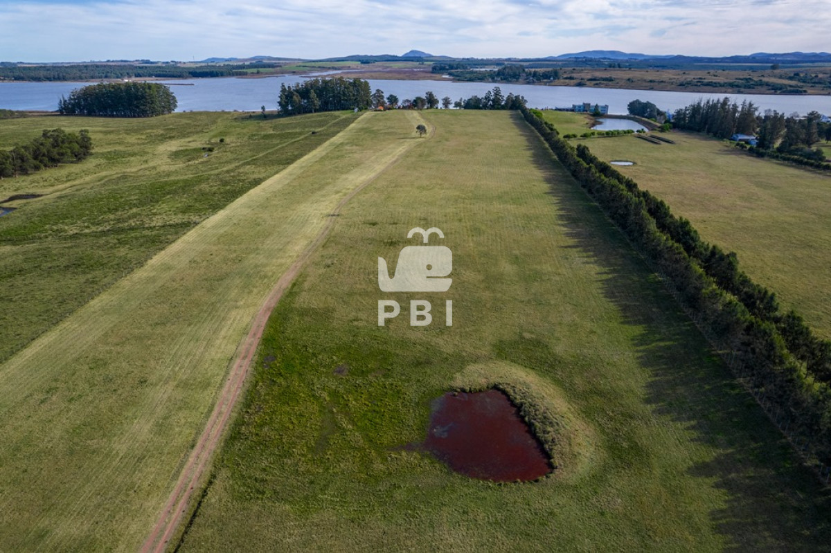 Laguna del Sauce - GoPunta - Portal Inmobiliario de Punta del Este - Maldonado