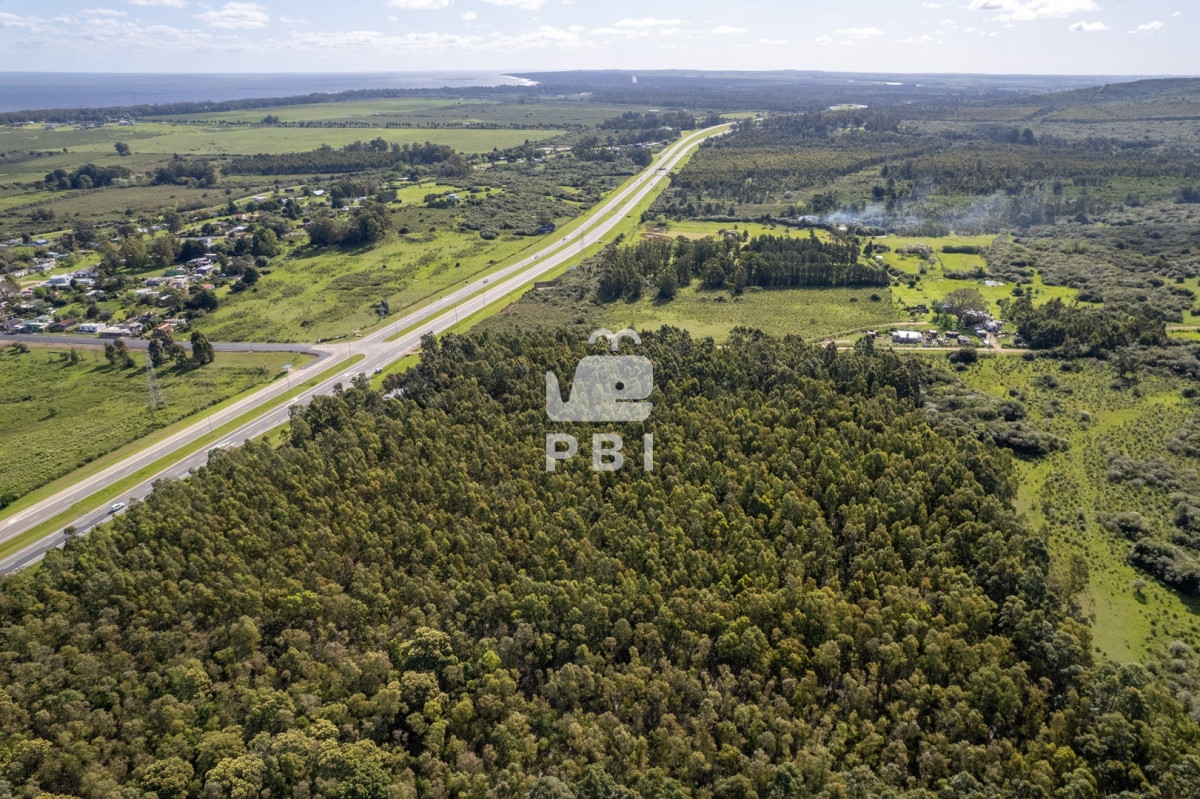 Las Flores - GoPunta - Portal Inmobiliario de Punta del Este - Maldonado