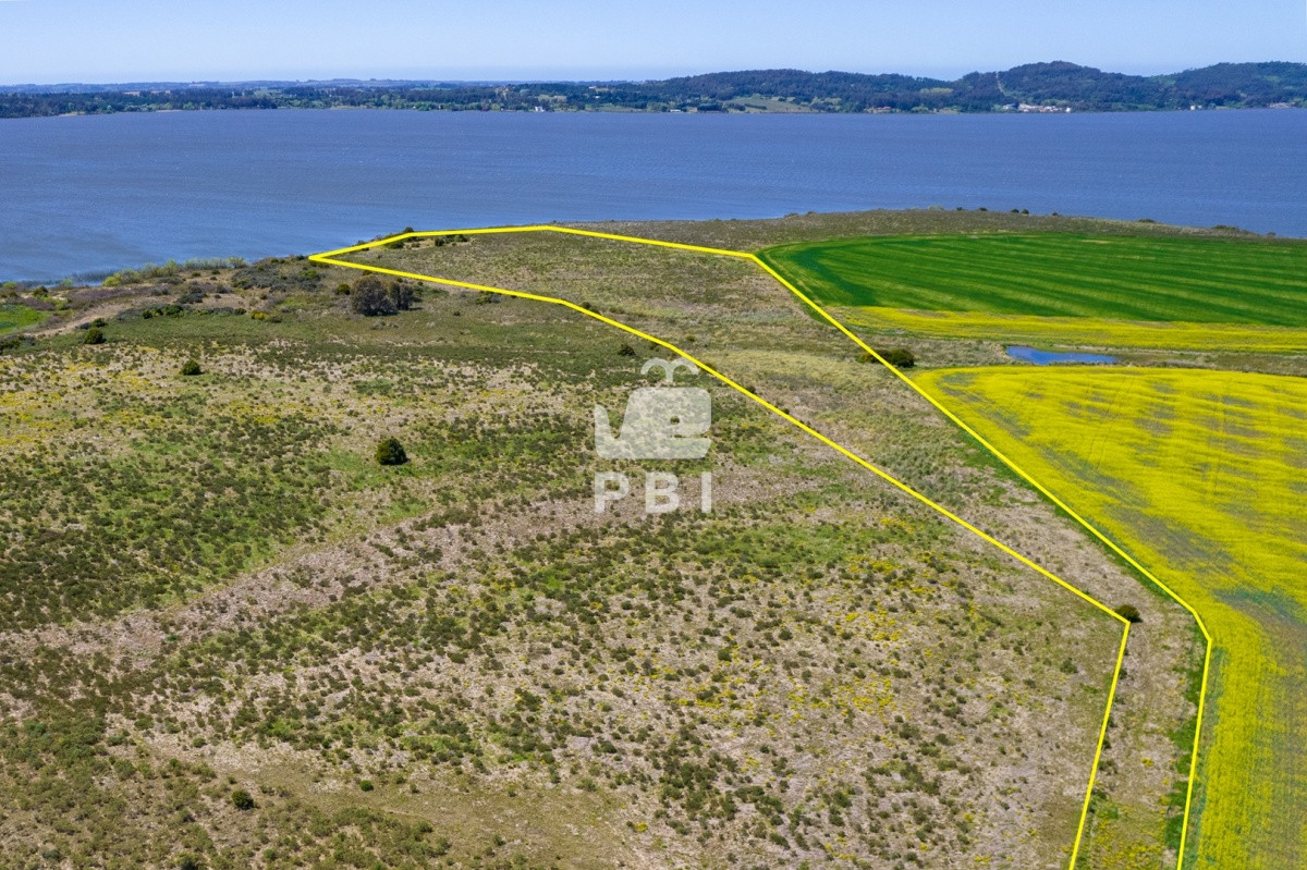 Laguna del Sauce - GoPunta - Portal Inmobiliario de Punta del Este - Maldonado