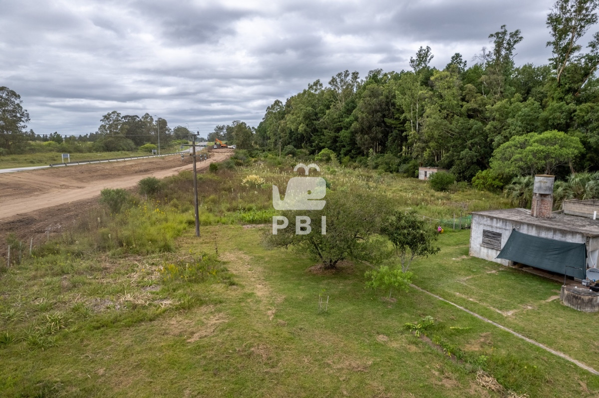 Punta Ballena - GoPunta - Portal Inmobiliario de Punta del Este - Maldonado