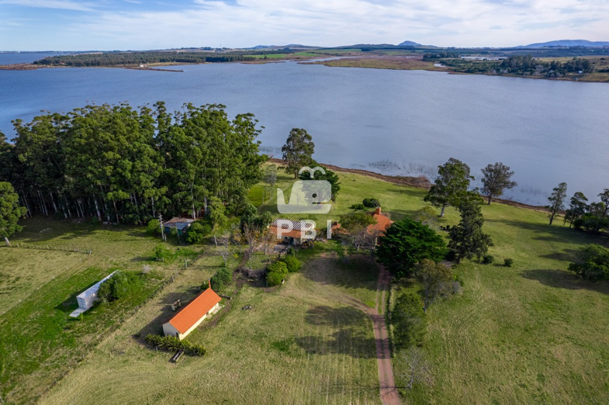 Laguna del Sauce - GoPunta - Portal Inmobiliario de Punta del Este - Maldonado