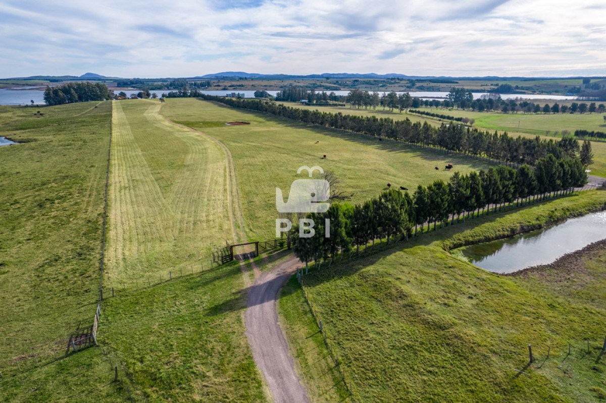 Laguna del Sauce - GoPunta - Portal Inmobiliario de Punta del Este - Maldonado
