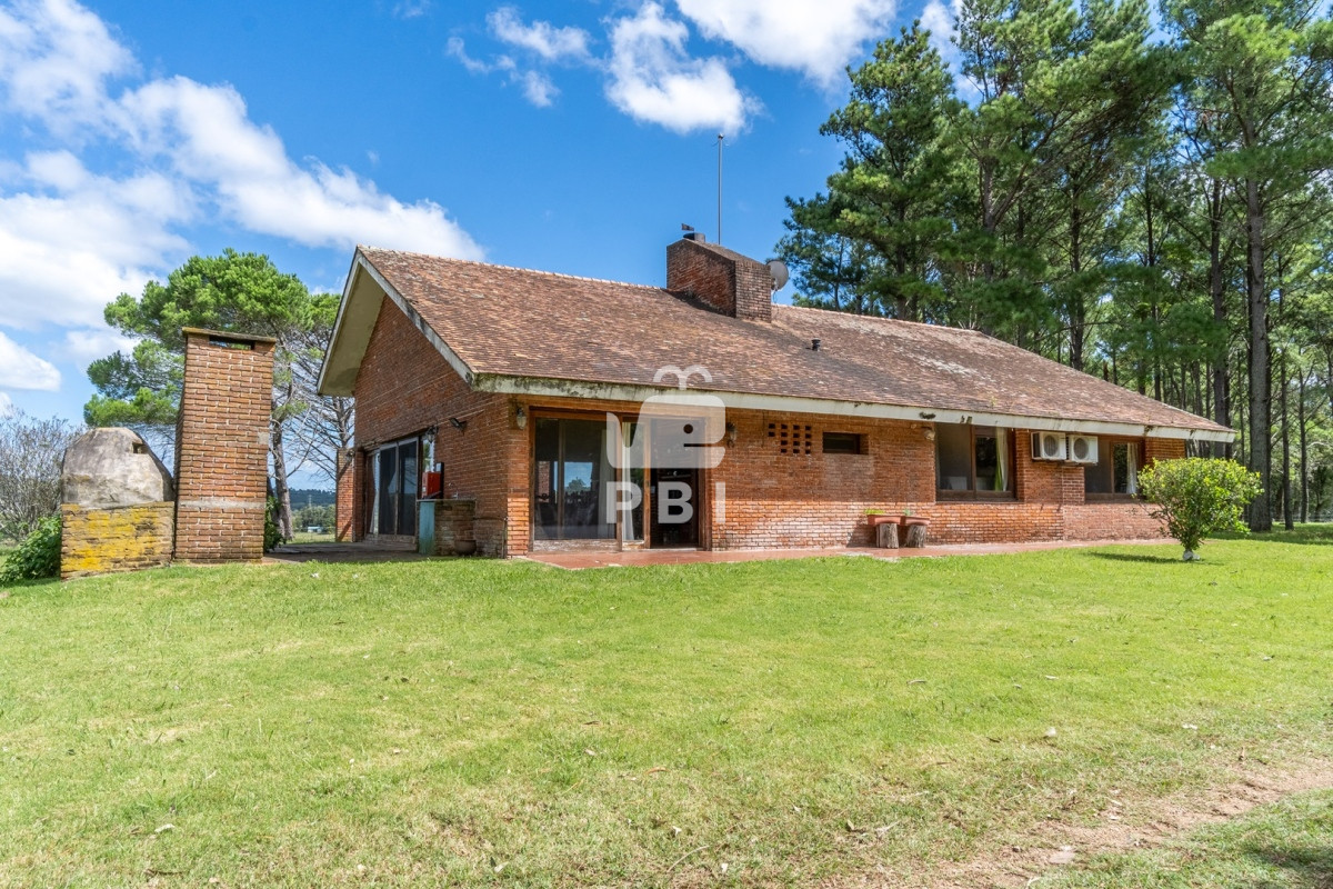 Punta Ballena - GoPunta - Portal Inmobiliario de Punta del Este - Maldonado