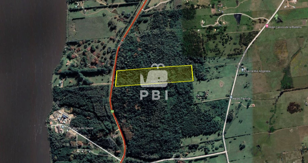 Laguna del Sauce - GoPunta - Portal Inmobiliario de Punta del Este - Maldonado