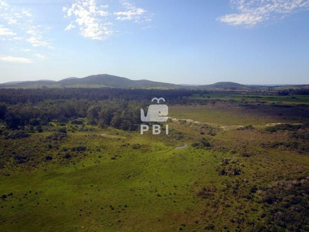 Punta Negra - GoPunta - Portal Inmobiliario de Punta del Este - Maldonado