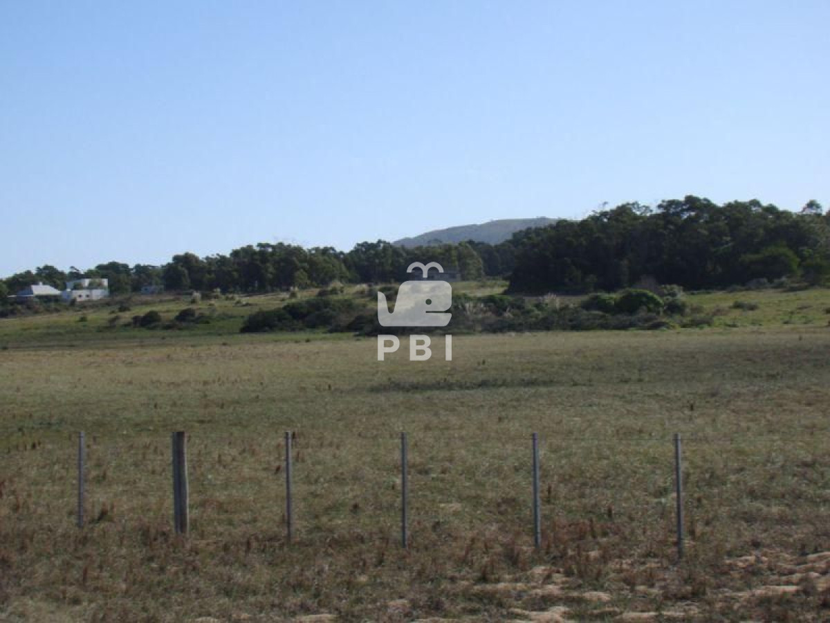 Punta Negra - GoPunta - Portal Inmobiliario de Punta del Este - Maldonado