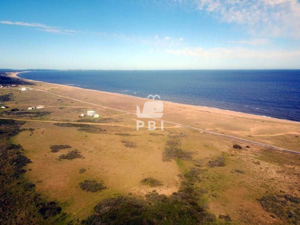 Punta Negra - GoPunta - Portal Inmobiliario de Punta del Este - Maldonado