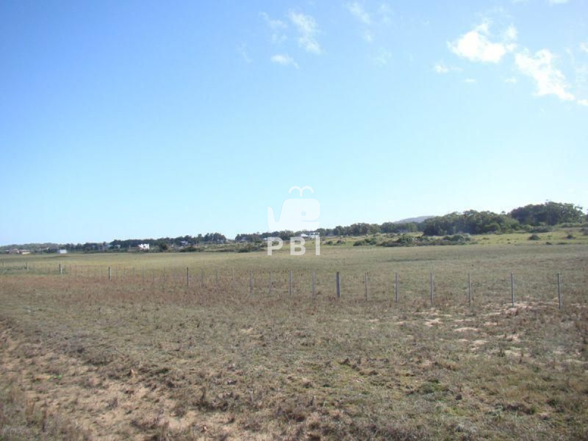 Punta Negra - GoPunta - Portal Inmobiliario de Punta del Este - Maldonado