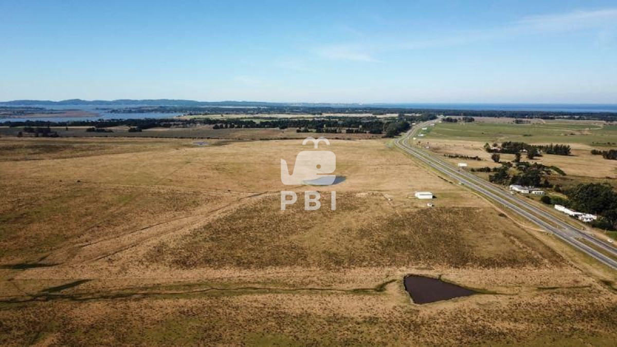 Zona Rural - GoPunta - Portal Inmobiliario de Punta del Este - Maldonado