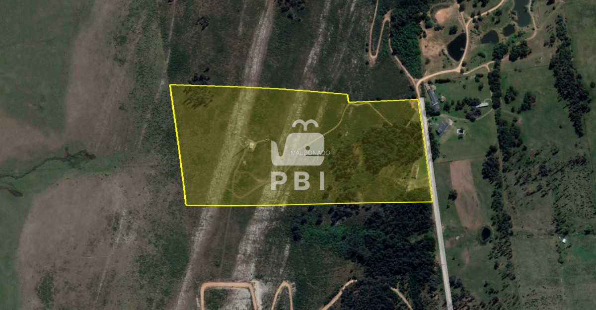 Punta Ballena - GoPunta - Portal Inmobiliario de Punta del Este - Maldonado