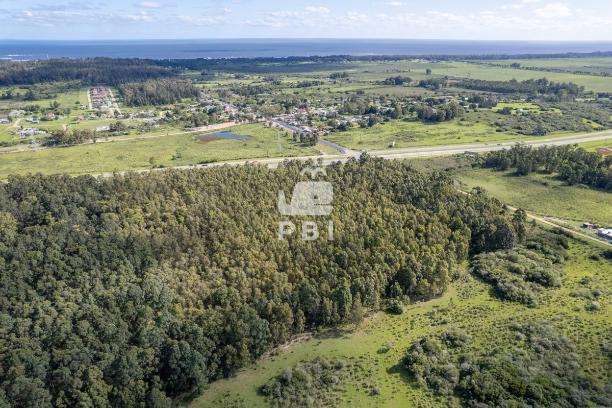 Las Flores - GoPunta - Portal Inmobiliario de Punta del Este - Maldonado