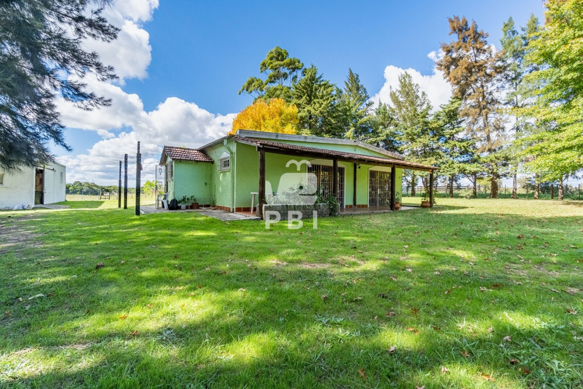 Ruta 9 - GoPunta - Portal Inmobiliario de Punta del Este - Maldonado