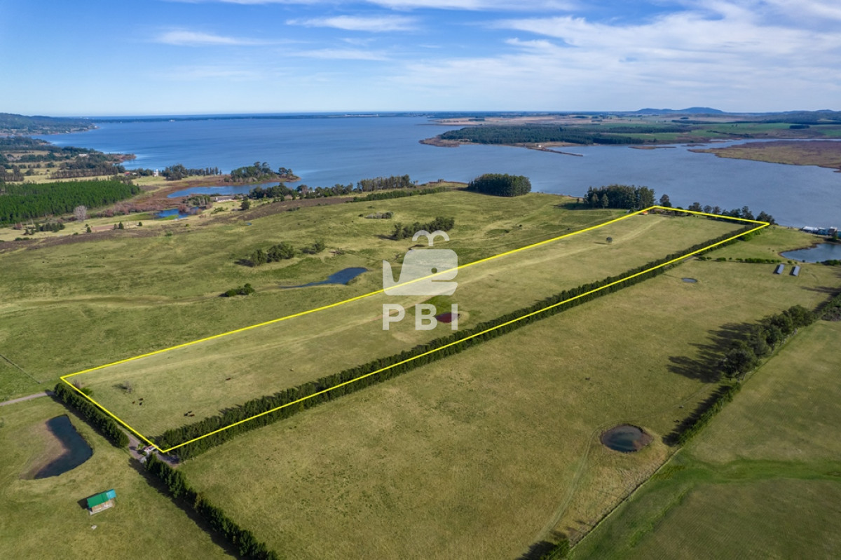 Laguna del Sauce - GoPunta - Portal Inmobiliario de Punta del Este - Maldonado