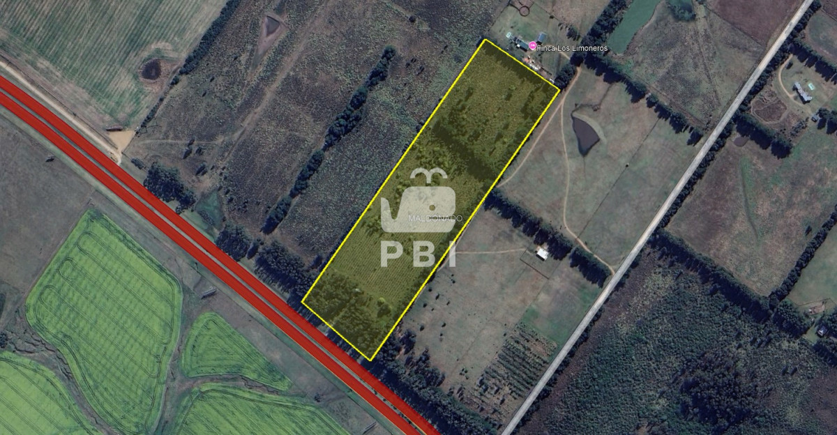 Punta Ballena - GoPunta - Portal Inmobiliario de Punta del Este - Maldonado