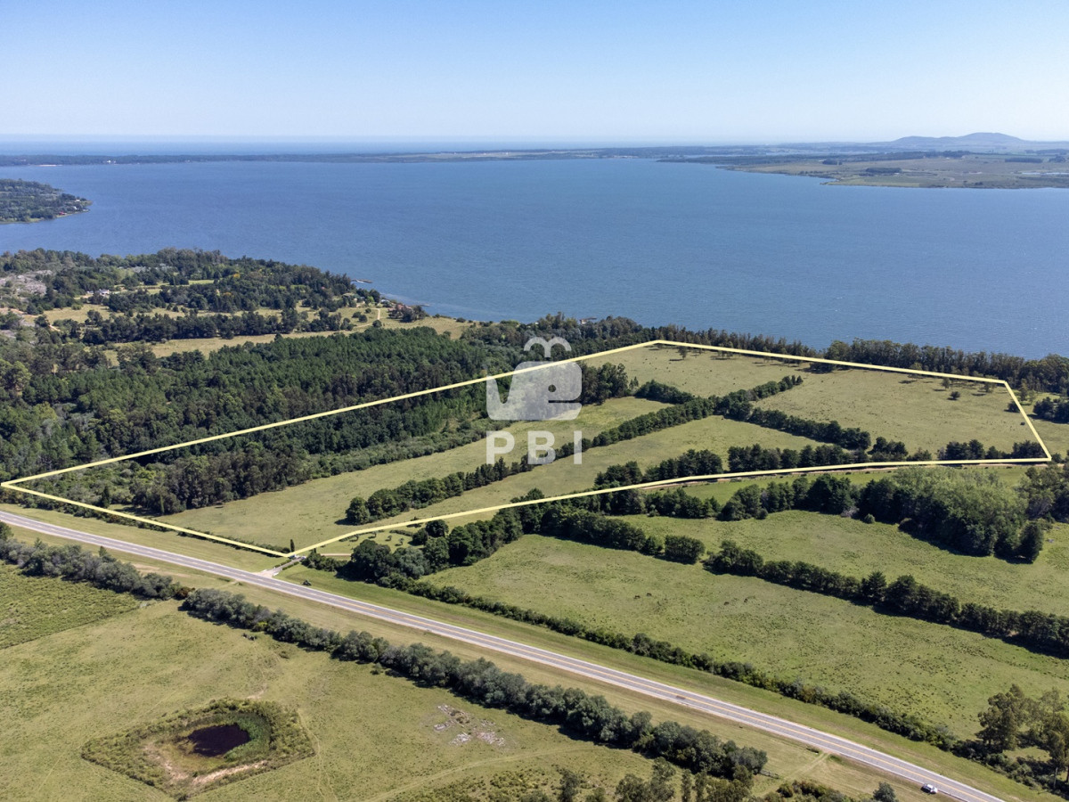 Laguna del Sauce - GoPunta - Portal Inmobiliario de Punta del Este - Maldonado