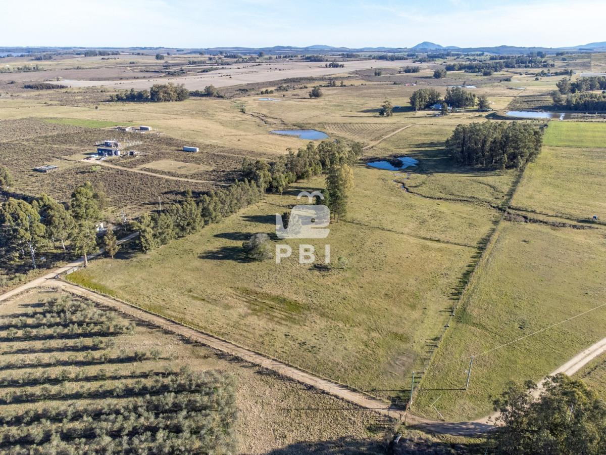 Q2hhY3JhIGRlIDUgSGFzIGVuIEd1YXJkaWEgVmllamEsIFJ1dGEgMTIgLSBSZWYgOiBQQkkxNTA1MA==