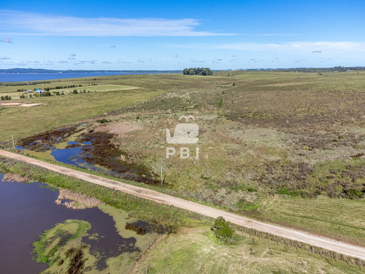 Laguna del Sauce - GoPunta - Portal Inmobiliario de Punta del Este - Maldonado