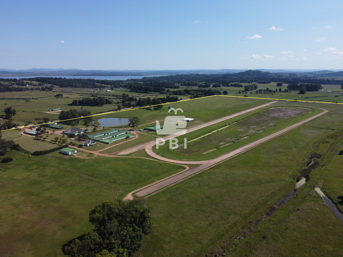Laguna del Sauce - GoPunta - Portal Inmobiliario de Punta del Este - Maldonado
