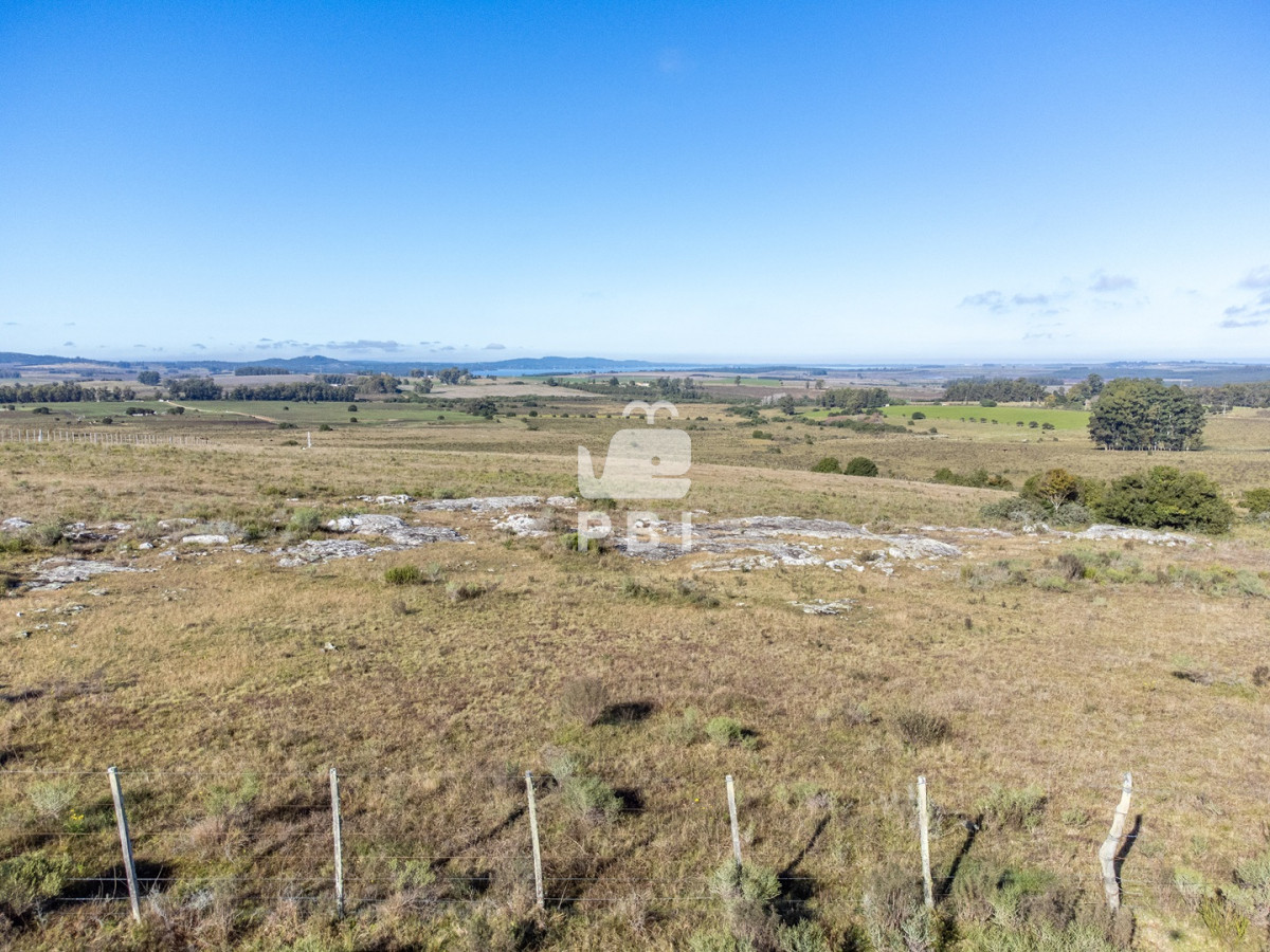 Zona Rural - GoPunta - Portal Inmobiliario de Punta del Este - Maldonado