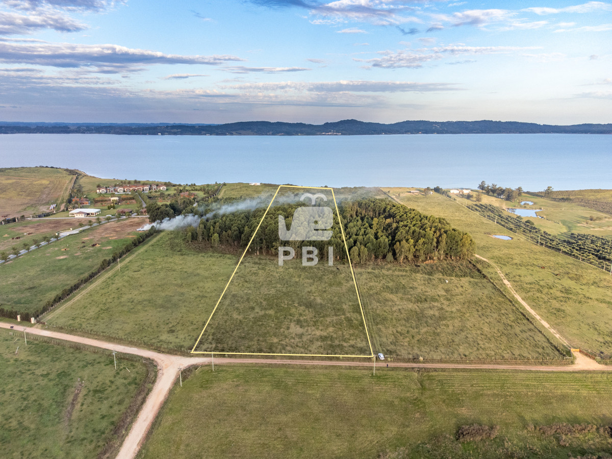 Laguna del Sauce - GoPunta - Portal Inmobiliario de Punta del Este - Maldonado