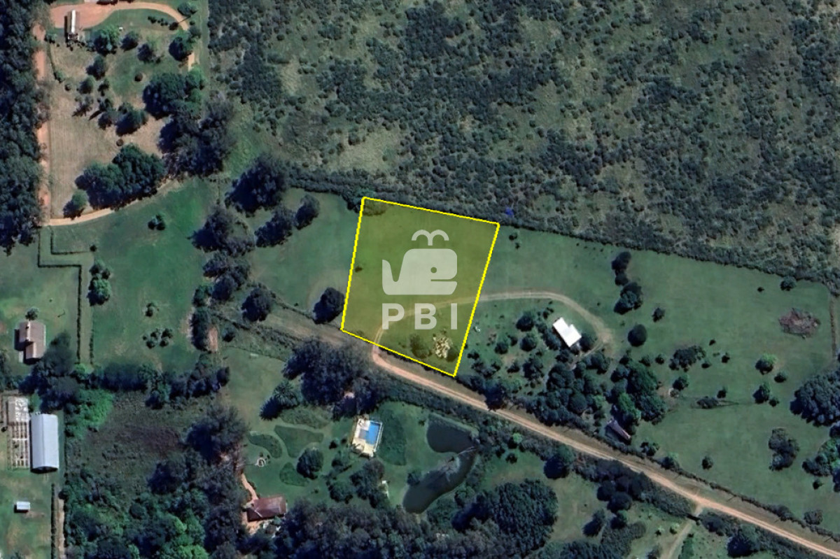 VGVycmVubyBlbiB2ZW50YSBlbiBQdW50YSBCYWxsZW5hIC0gUmVmIDogUEJJMTU1NTQ=