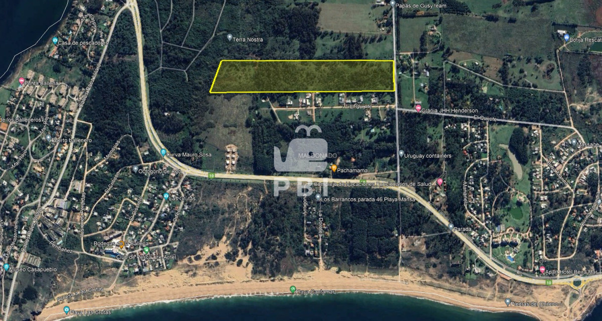 Punta Ballena - GoPunta - Portal Inmobiliario de Punta del Este - Maldonado