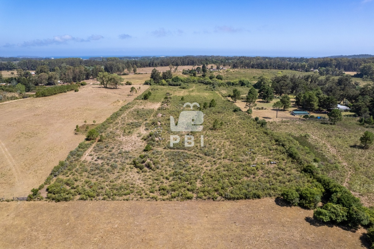 Camino Lussich - GoPunta - Portal Inmobiliario de Punta del Este - Maldonado