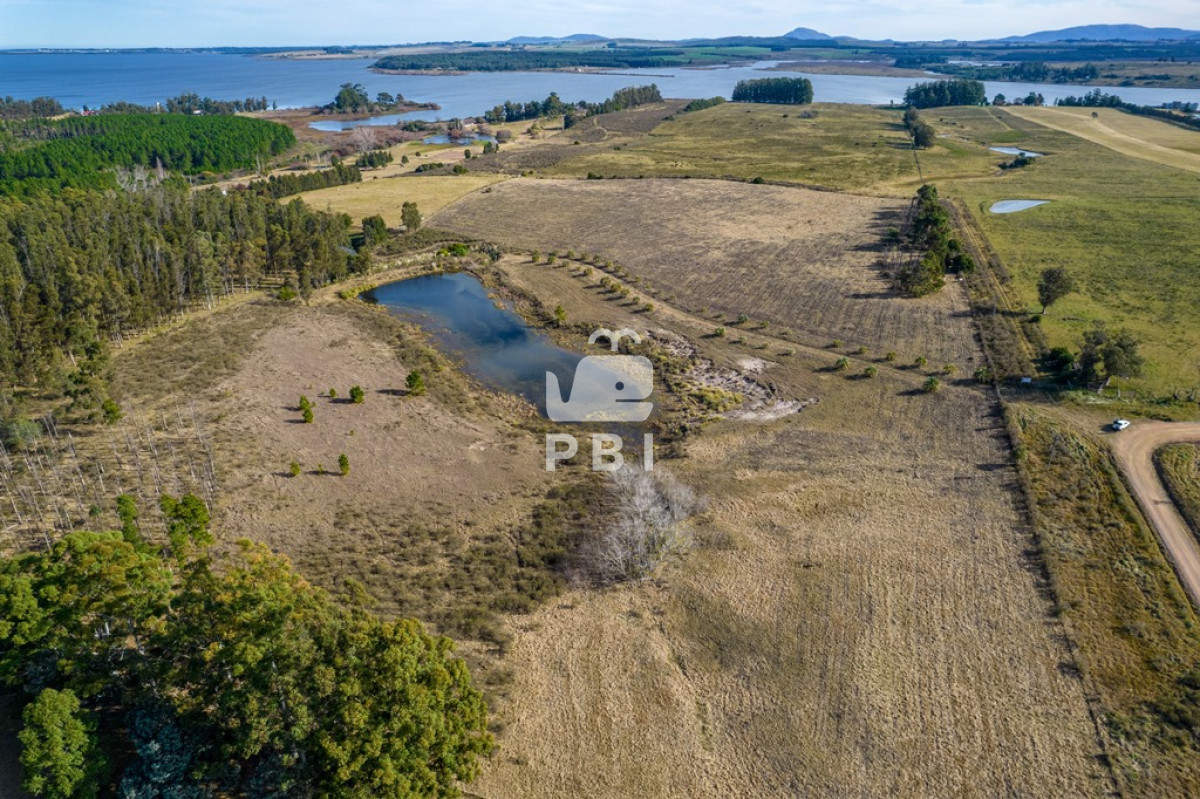 Laguna del Sauce - GoPunta - Portal Inmobiliario de Punta del Este - Maldonado