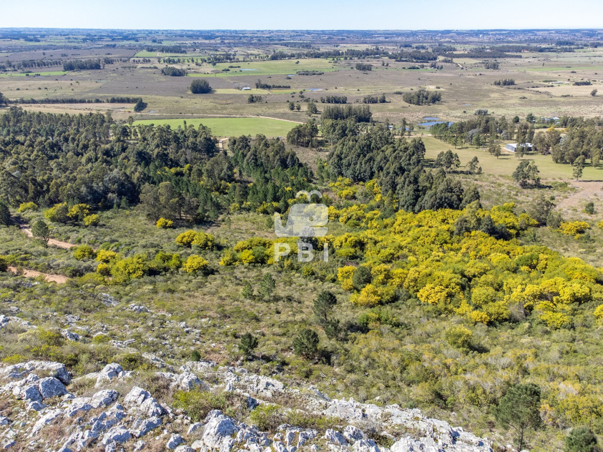 Q2hhY3JhIGRlIDksODUgSGFzIGVuIExhcyBWZXJ0aWVudGVzIC0gUmVmIDogUEJJMTUxNTE=