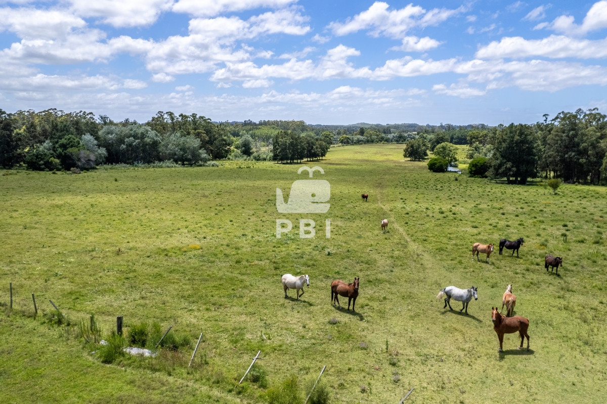 Punta Ballena - GoPunta - Portal Inmobiliario de Punta del Este - Maldonado