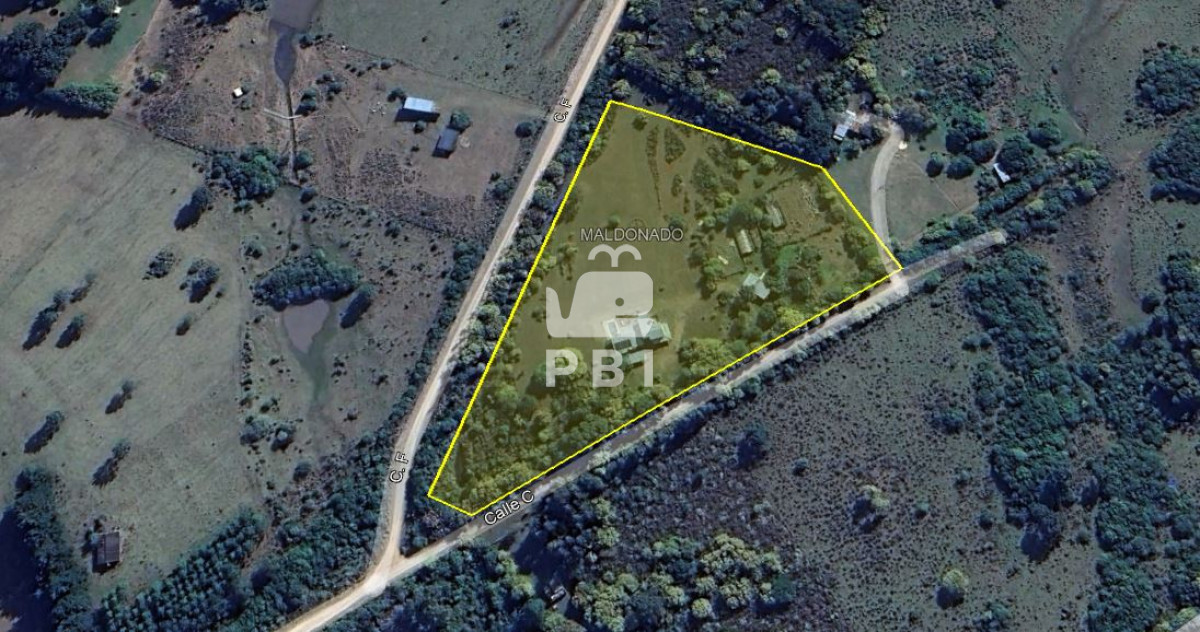 El Pejerrey - GoPunta - Portal Inmobiliario de Punta del Este - Maldonado