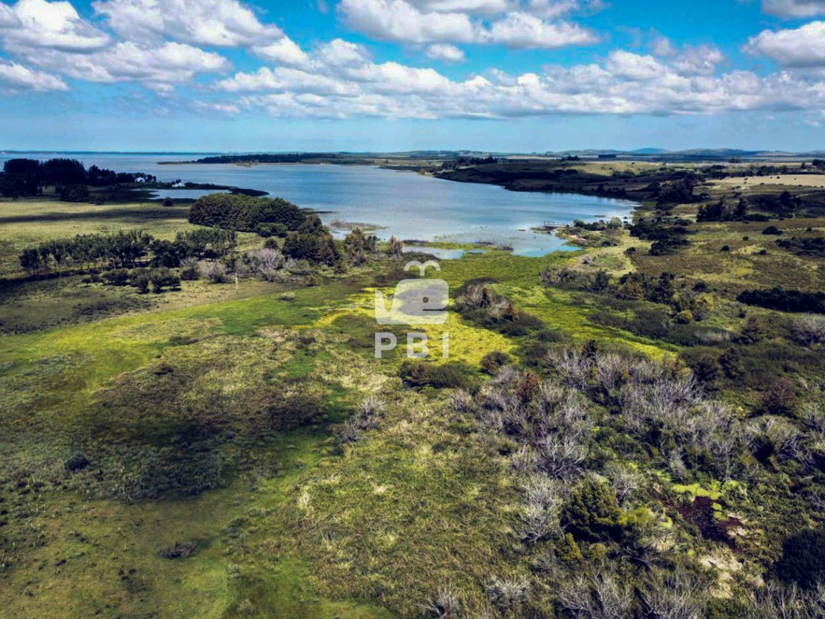 Punta Ballena - GoPunta - Portal Inmobiliario de Punta del Este - Maldonado