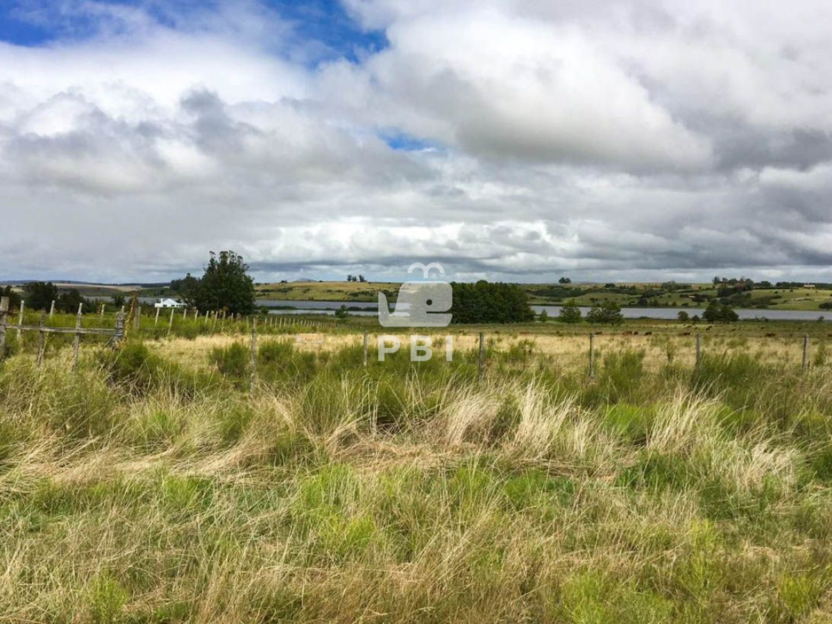 Punta Ballena - GoPunta - Portal Inmobiliario de Punta del Este - Maldonado