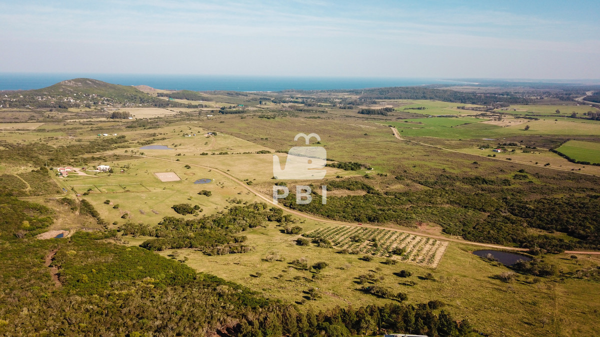 Piriápolis - GoPunta - Portal Inmobiliario de Punta del Este - Maldonado
