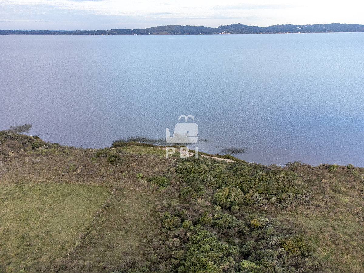 Laguna del Sauce - GoPunta - Portal Inmobiliario de Punta del Este - Maldonado