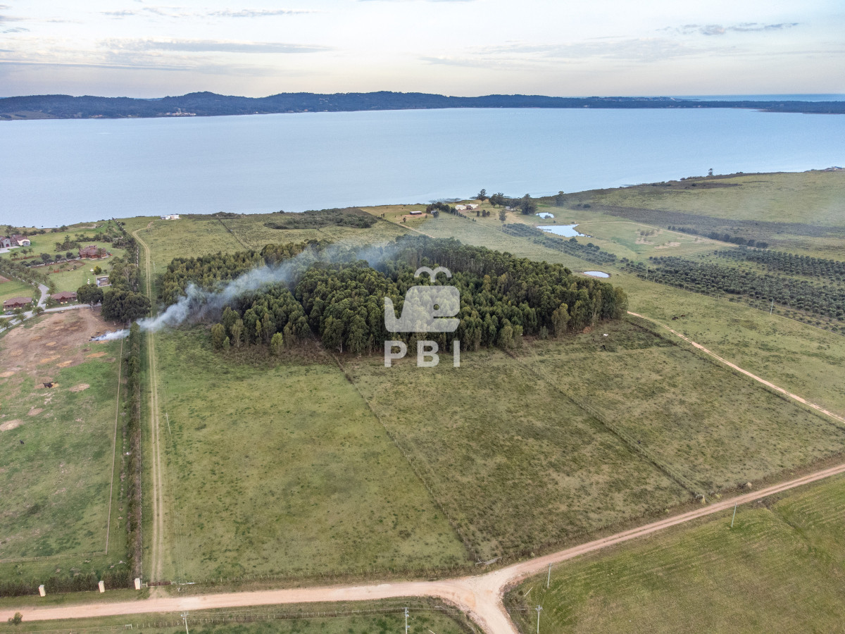 Laguna del Sauce - GoPunta - Portal Inmobiliario de Punta del Este - Maldonado