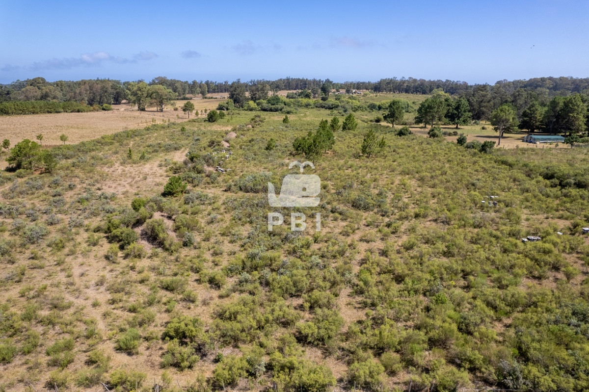 Camino Lussich - GoPunta - Portal Inmobiliario de Punta del Este - Maldonado