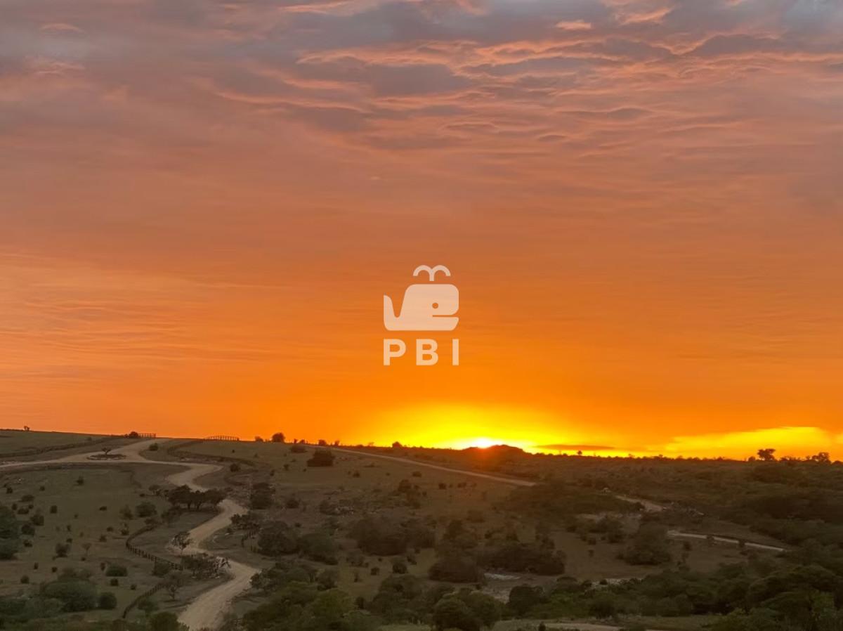 Q2hhY3JhIGVuIHZlbnRhIGVuIExhcyBUYXBlcmFzLCBNYWxkb25hZG8gLSBSZWYgOiBQQkkxNTY4NA==