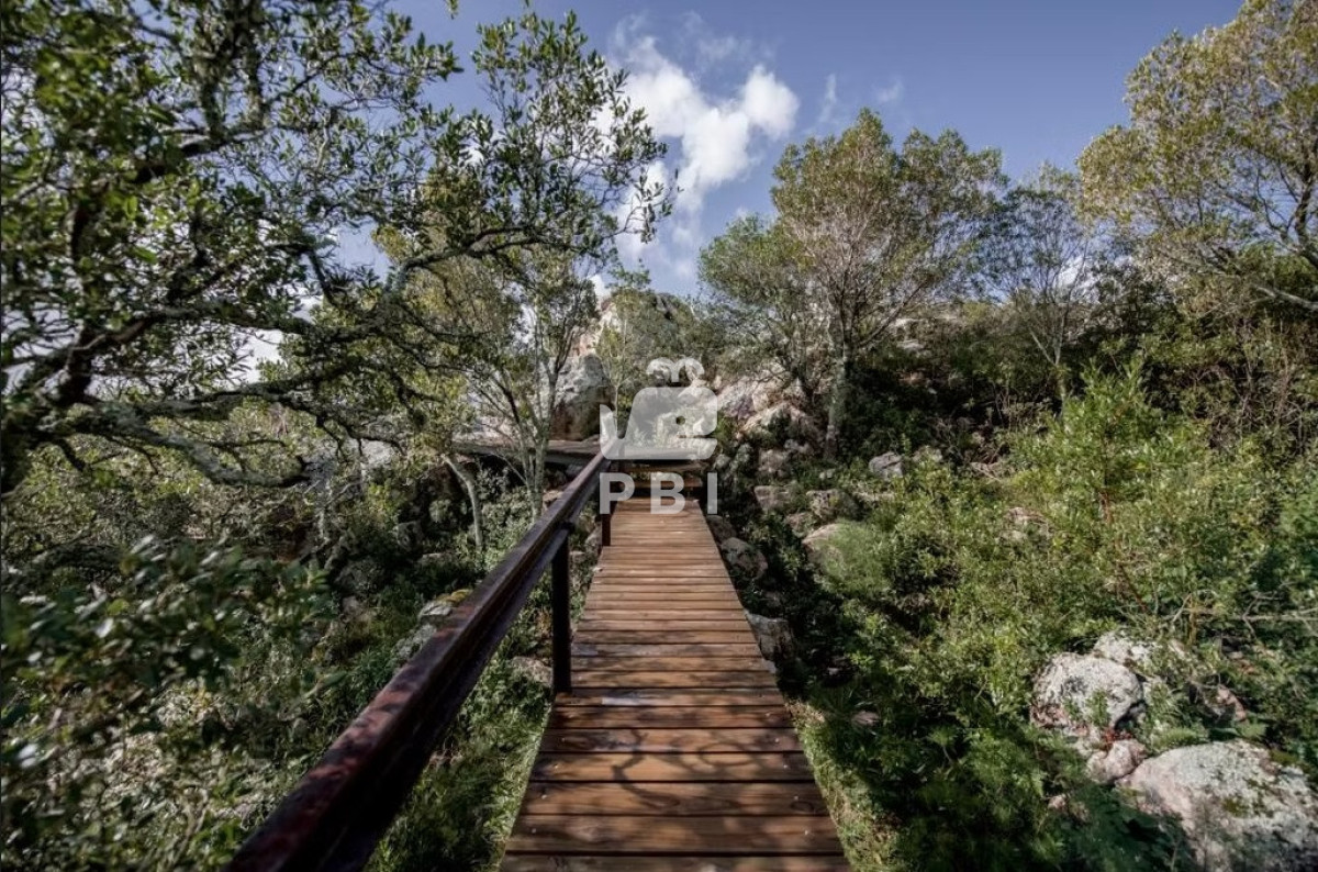 Q2hhY3JhIGVuIHZlbnRhIGVuIExhcyBUYXBlcmFzLCBNYWxkb25hZG8gLSBSZWYgOiBQQkkxNTY4NA==