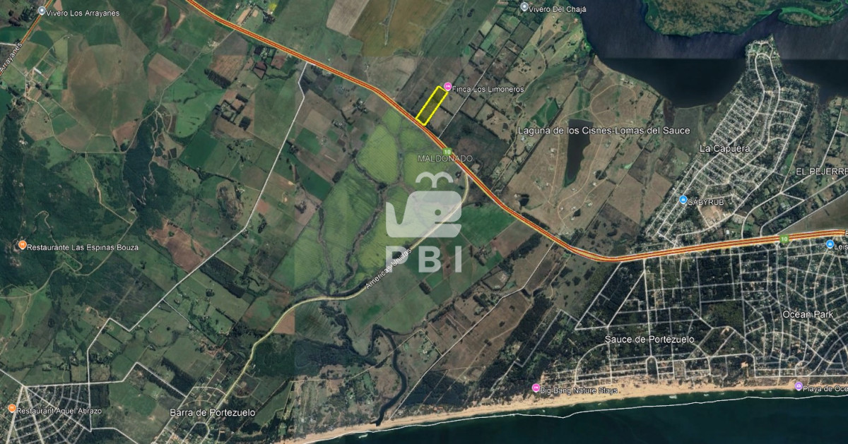 Punta Ballena - GoPunta - Portal Inmobiliario de Punta del Este - Maldonado