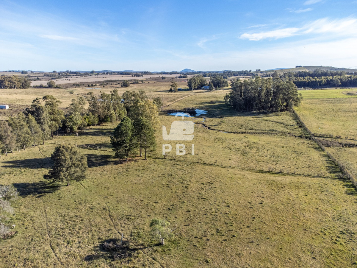 Q2hhY3JhIGRlIDUgSGFzIGVuIEd1YXJkaWEgVmllamEsIFJ1dGEgMTIgLSBSZWYgOiBQQkkxNTA1MA==