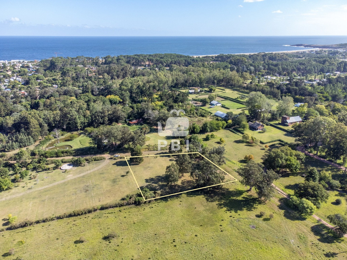 VGVycmVubyBlbiB2ZW50YSBlbiBQdW50YSBCYWxsZW5hIC0gUmVmIDogUEJJMTU1NTM=