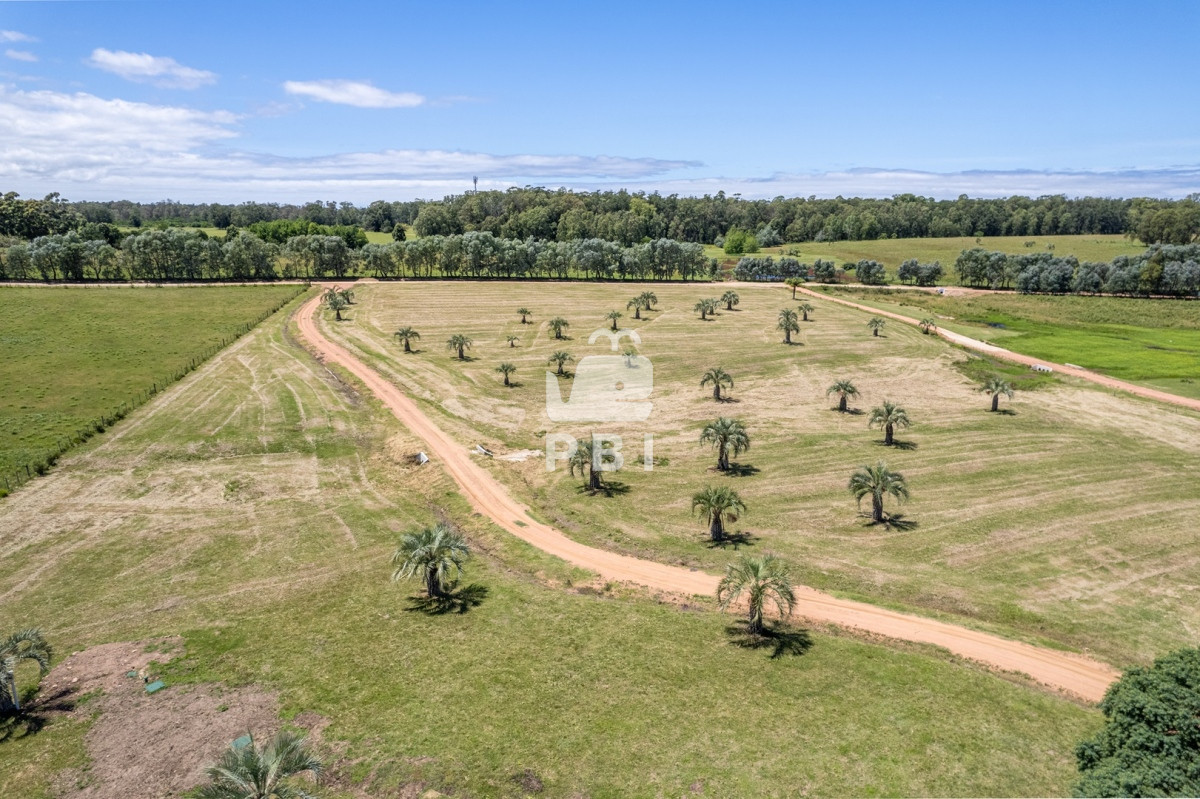 La Carolina - GoPunta - Portal Inmobiliario de Punta del Este - Maldonado