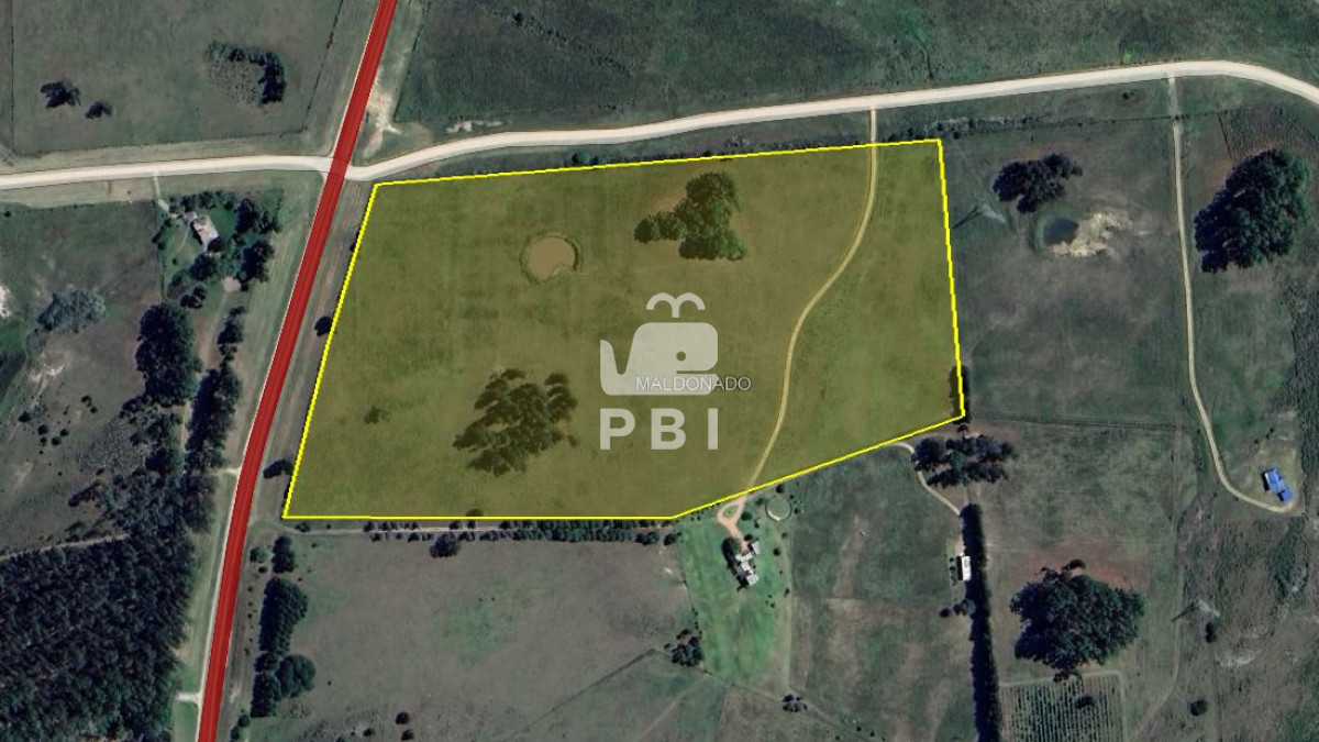 Laguna del Sauce - GoPunta - Portal Inmobiliario de Punta del Este - Maldonado