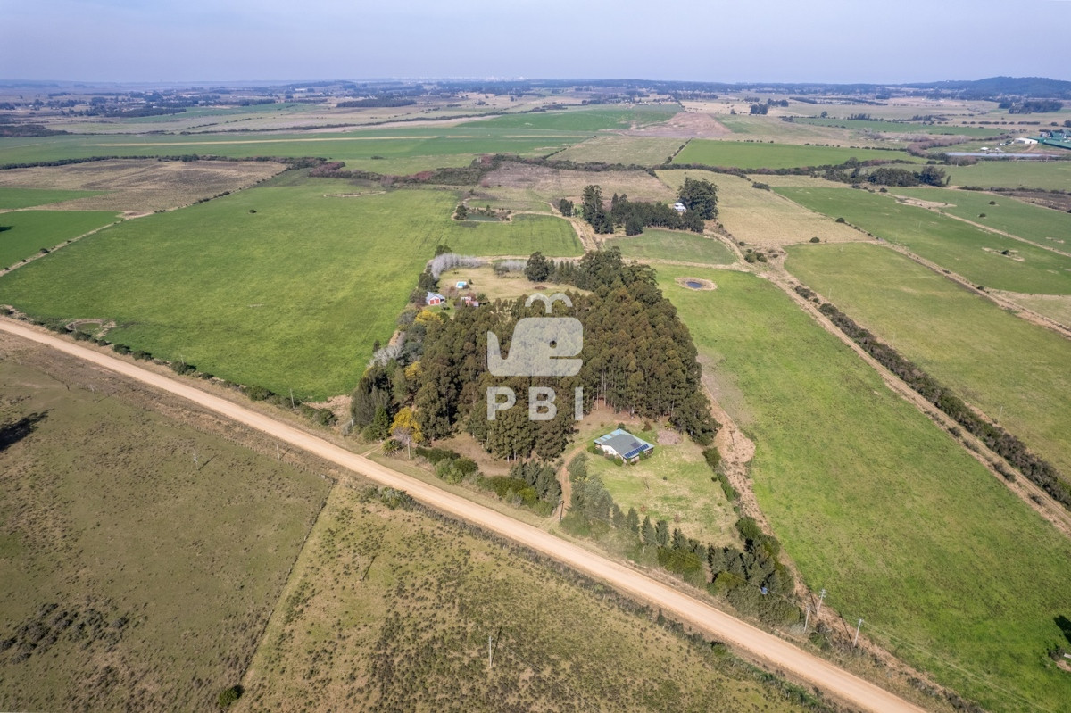 La Pataia - GoPunta - Portal Inmobiliario de Punta del Este - Maldonado