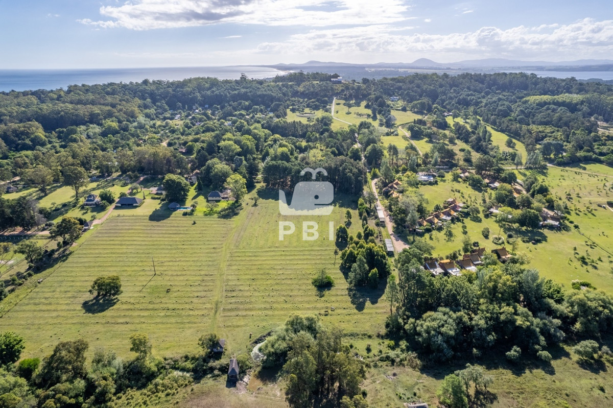 Camino Lussich - GoPunta - Portal Inmobiliario de Punta del Este - Maldonado