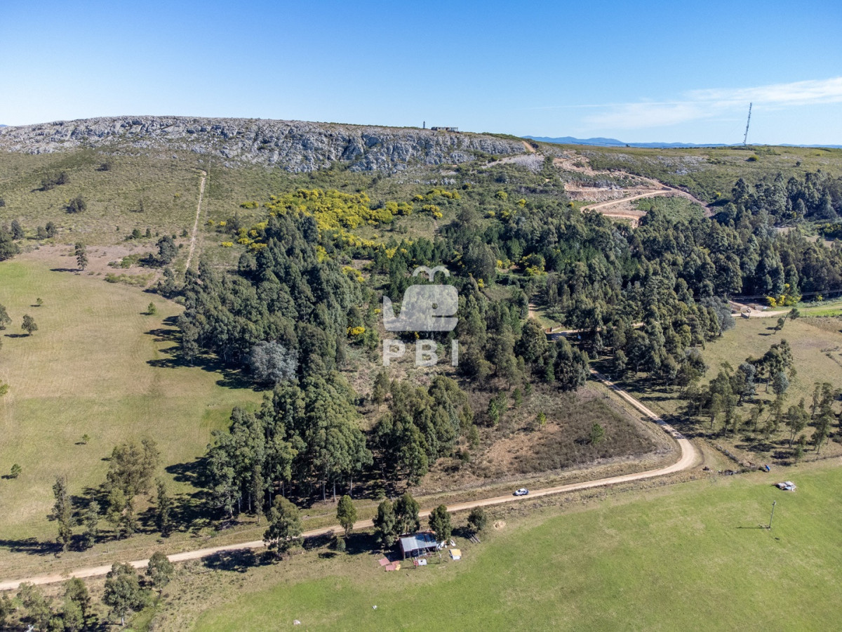 Q2hhY3JhIGRlIDksODUgSGFzIGVuIExhcyBWZXJ0aWVudGVzIC0gUmVmIDogUEJJMTUxNTE=