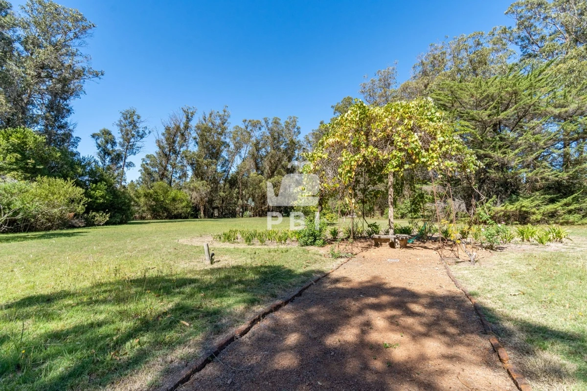 Q2hhY3JhIGVuIENhbWlubyBMdXNzaWNoLCBQdW50YSBCYWxsZW5hIC0gUmVmIDogUEJJMzEwNQ==