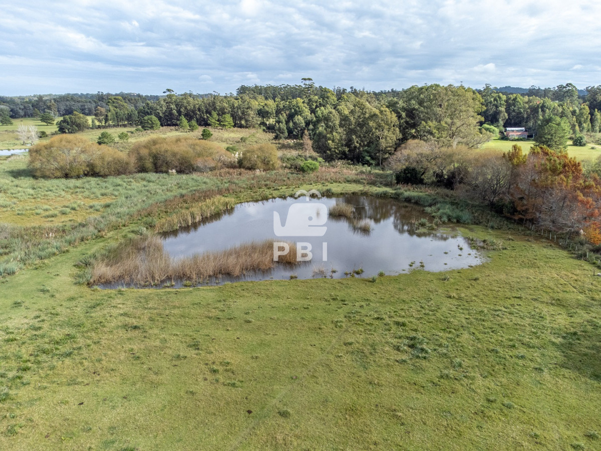 Q2hhY3JhIGEgbGEgdmVudGEgZW4gUHVudGEgQmFsbGVuYSAgLSBSZWYgOiBQQkkxNDE5Mw==