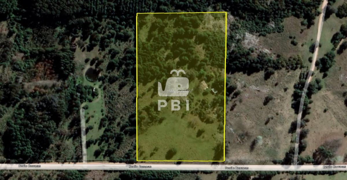 Laguna del Sauce - GoPunta - Portal Inmobiliario de Punta del Este - Maldonado